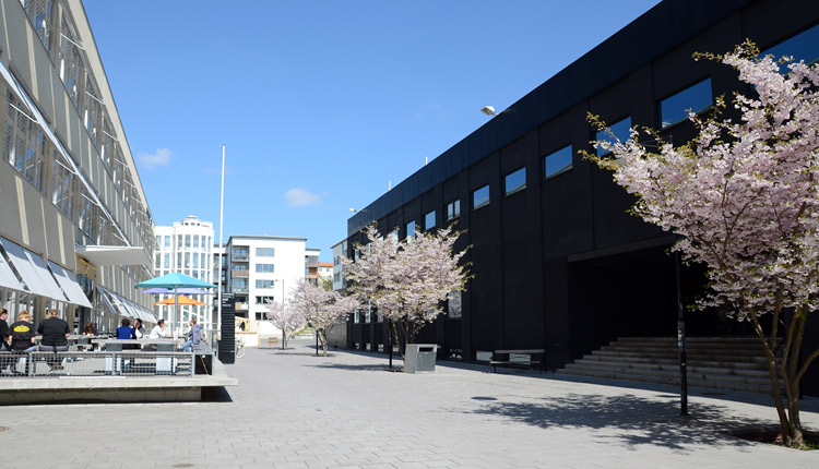 Konstfack and the black house exterior